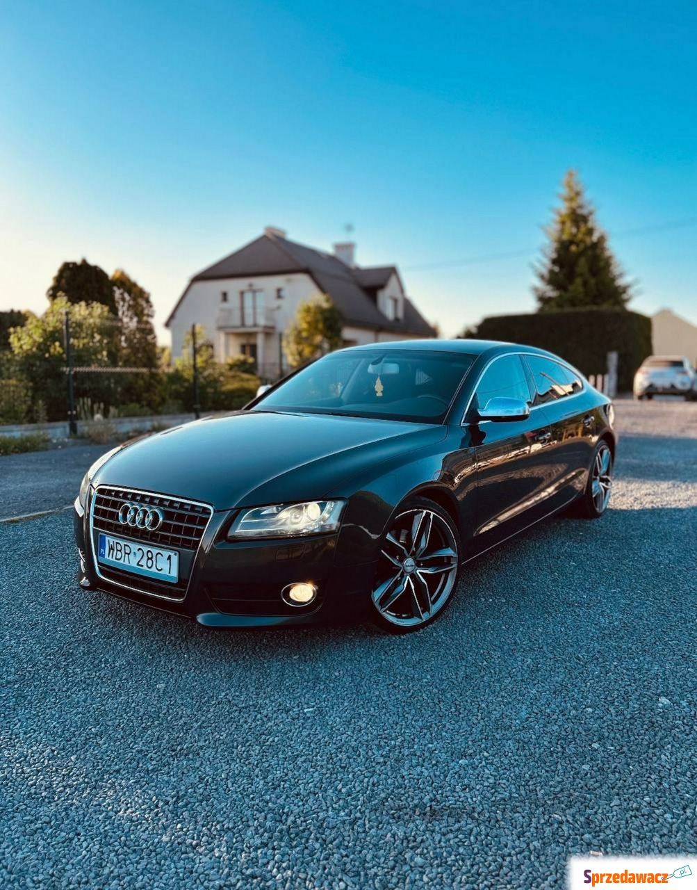 Audi A5 2010