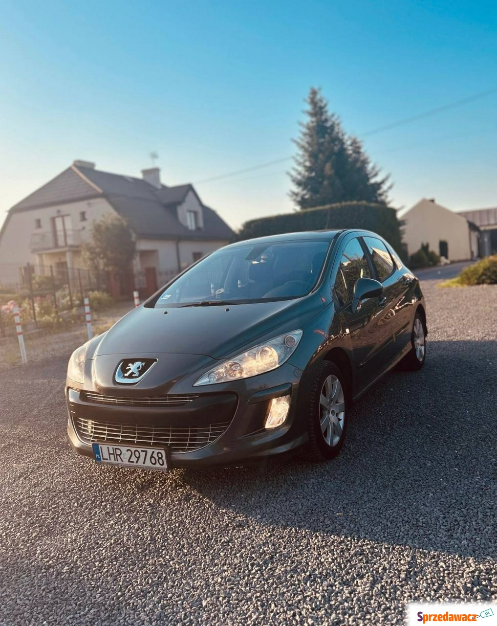 Peugeot 308 2007