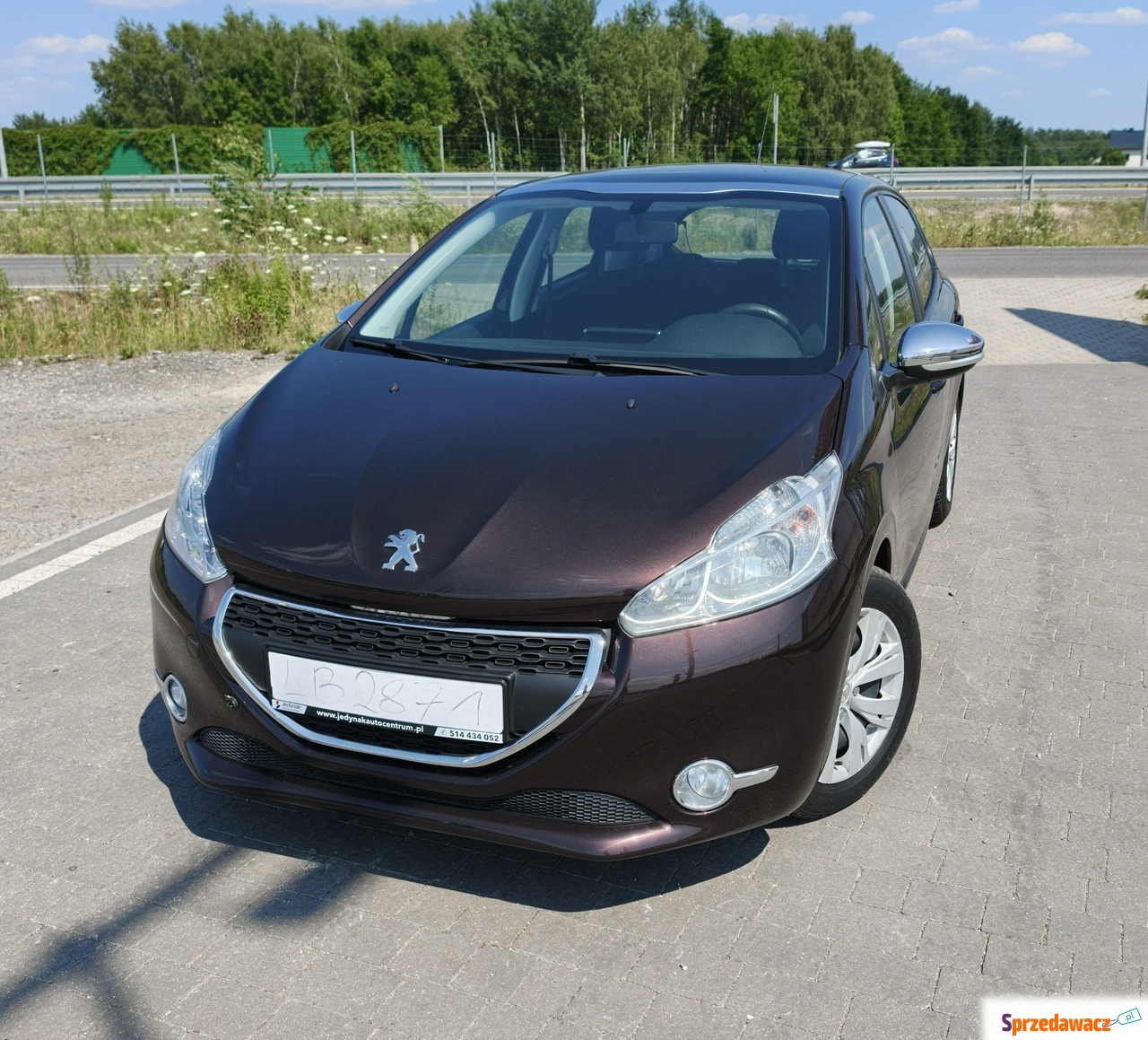 Peugeot 208 2013