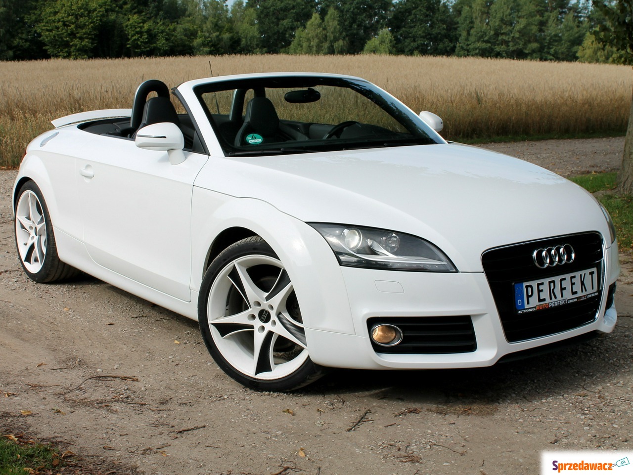 Audi TT 2010