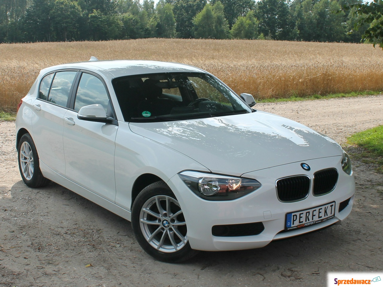 BMW Seria 1 2014