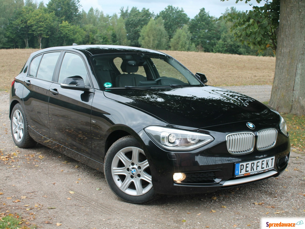 BMW 116 - F20 1.6 Benzyna 136 KM...