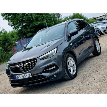 Opel Grandland X  SUV 2019,  1.2 benzyna - Na sprzedaż za 38 900 zł - Szczecin - zdjęcie 1