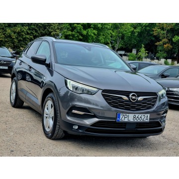 Opel Grandland X  SUV 2019,  1.2 benzyna - Na sprzedaż za 38 900 zł - Szczecin - zdjęcie 3