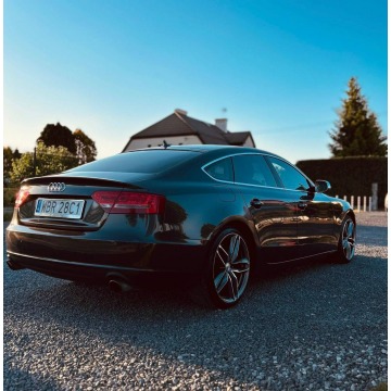 Audi A5  Sedan/Limuzyna 2010,  2.0 benzyna - Na sprzedaż za 31 857 zł - Piaseczno - zdjęcie 3