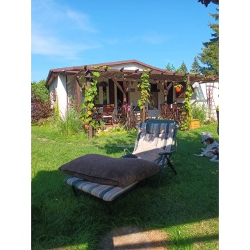 Sprzedam dom Sosny - ,  pow.  70 m2,  działka:   416 m2 - zdjęcie 6