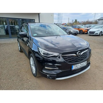 Opel Grandland X  SUV 2020,  1.2 benzyna, automat - Na sprzedaż za 53 999 zł - Chrzanów - zdjęcie 9