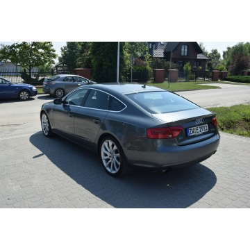 Audi A5  Liftback 2013,  1.8 benzyna - Na sprzedaż za 36 900 zł - Majdan Sieniawski - zdjęcie 9