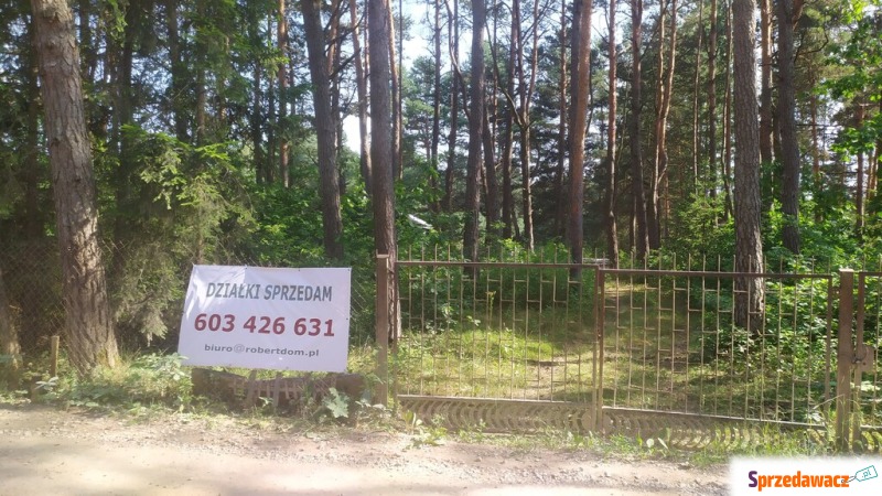 Działka w lesie.