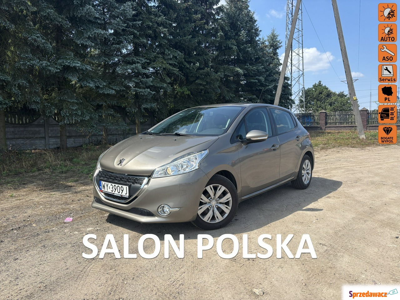 Peugeot 208 2013