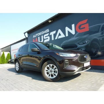 Ford Escape  SUV 2023,  1.5 benzyna, automat - Na sprzedaż za 72 900 zł - Wągrowiec - zdjęcie 3