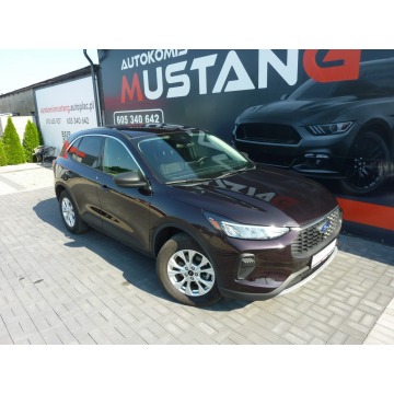 Ford Escape  SUV 2023,  1.5 benzyna, automat - Na sprzedaż za 72 900 zł - Wągrowiec - zdjęcie 8