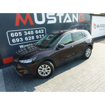 Ford Escape  SUV 2023,  1.5 benzyna, automat - Na sprzedaż za 72 900 zł - Wągrowiec - zdjęcie 9