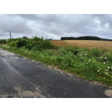 Działka rolna Grońsko sprzedam, pow. 11 040 m2  (1.1ha), uzbrojona - zdjęcie 3