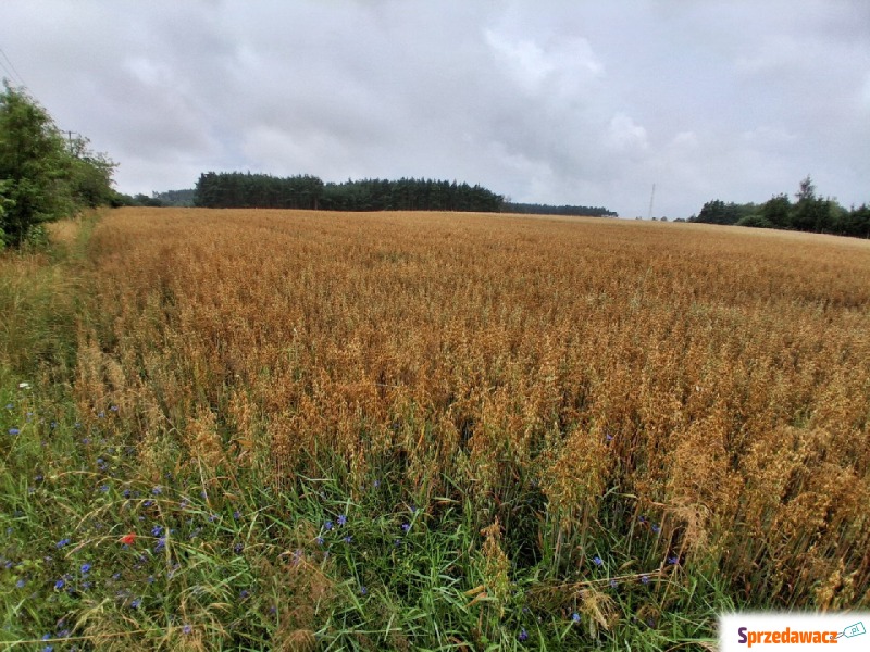 Działka rolna Grońsko sprzedam, pow. 11 040 m2  (1.1ha), uzbrojona