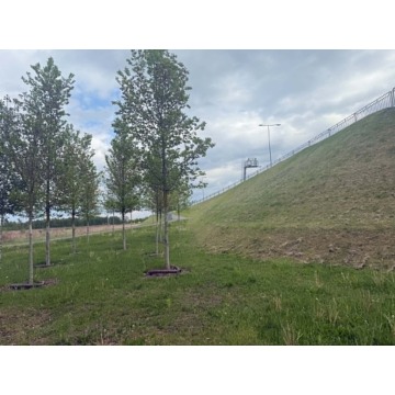 Działka rolna Wrocław sprzedam, pow. 5121 m2  (51.2a) - zdjęcie 4