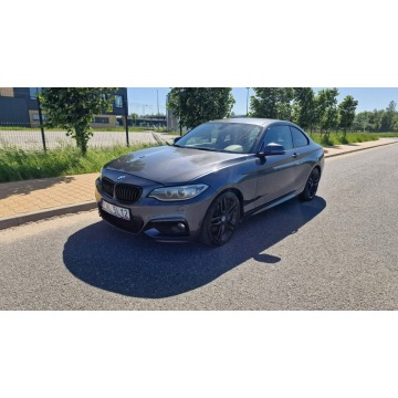 BMW Seria 2  Coupe/Sportowy 2015,  2.0 diesel, automat - Na sprzedaż za 47 900 zł - Pabianice - zdjęcie 3