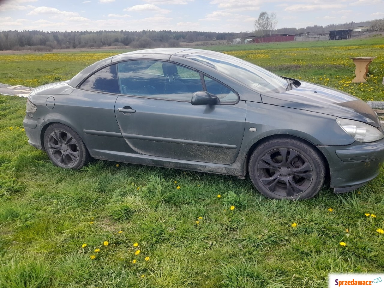 Peugeot 307 CC 2004