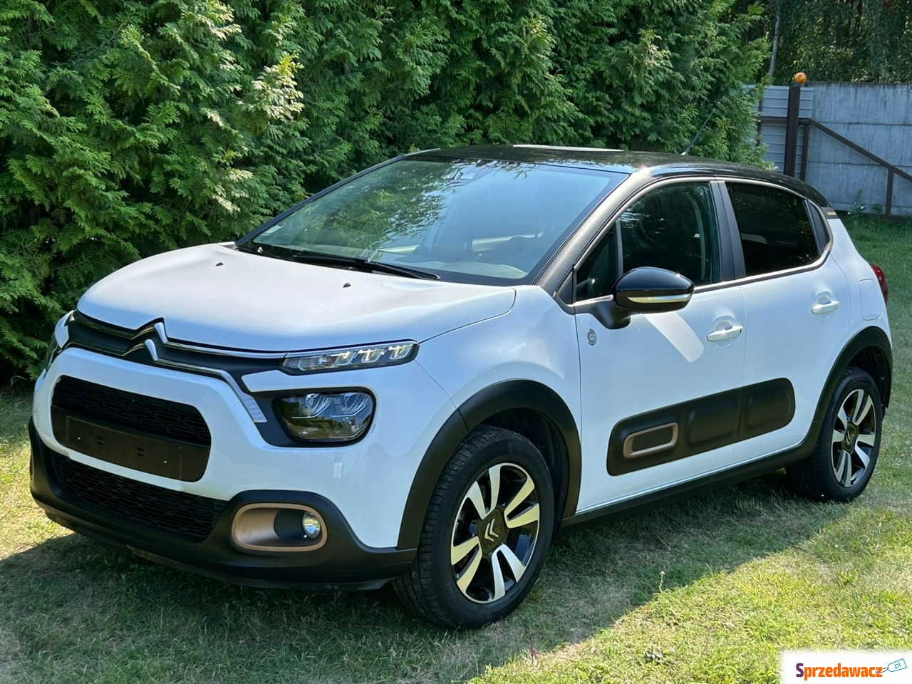 Citroen C3 2023