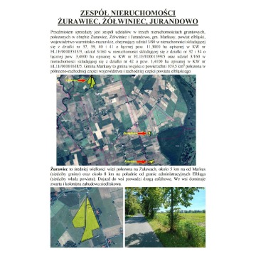 Syndyk sprzeda udziały w grunatach Żurawiec, Żółwiniec, Jurandowo