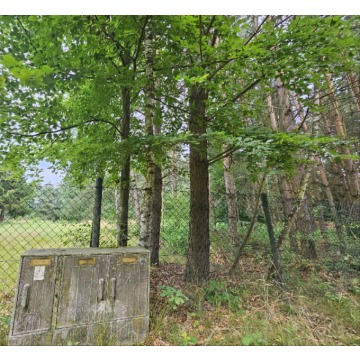 Działka budowlana Twardogóra sprzedam, pow. 6000 m2  (0.6ha), uzbrojona - zdjęcie 4