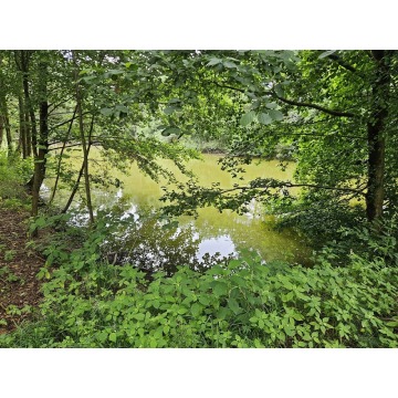 Działka budowlana Twardogóra sprzedam, pow. 6000 m2  (0.6ha), uzbrojona - zdjęcie 2