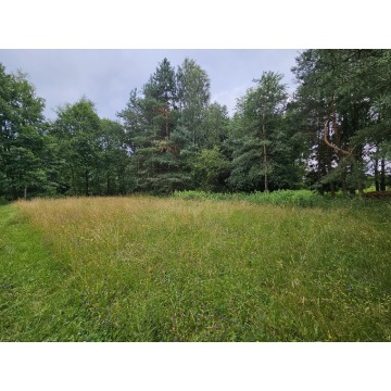 Działka budowlana Twardogóra sprzedam, pow. 6000 m2  (0.6ha), uzbrojona - zdjęcie 3