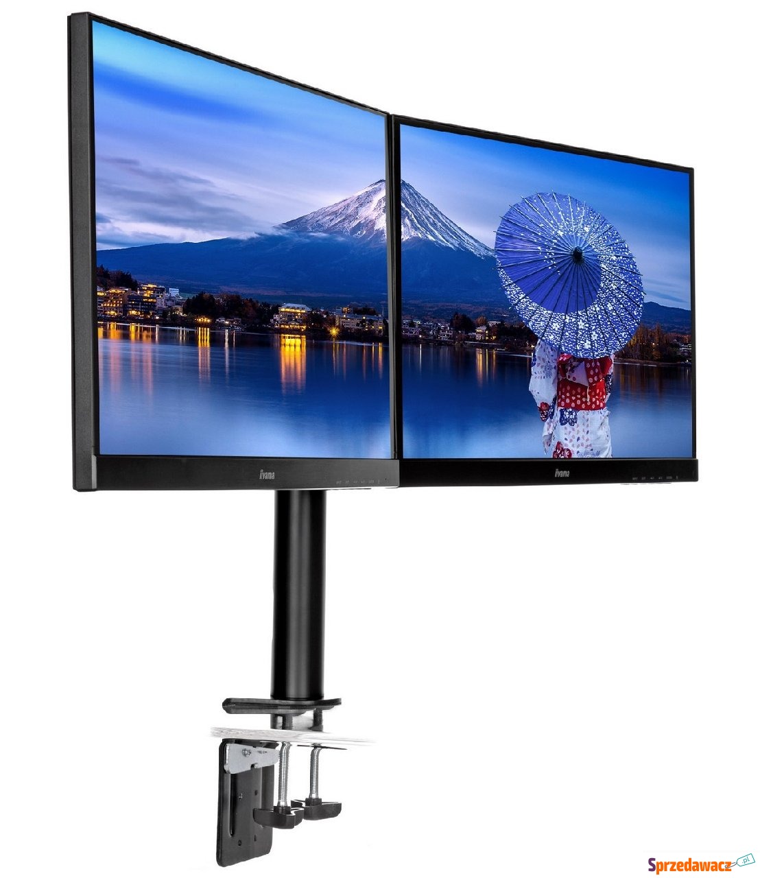 iiyama DS1002C-B1 dual