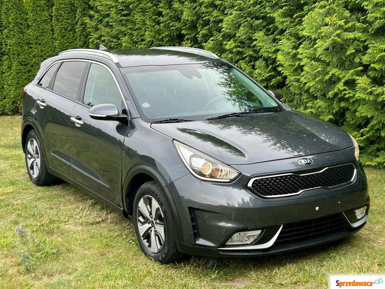 Kia Niro 2016