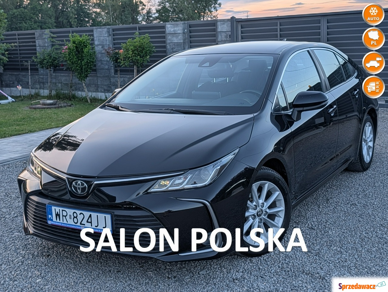 Toyota Corolla 2021