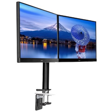 iiyama DS1002C-B1 dual