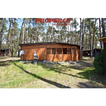Sprzedam dom Końskie -  jednopiętrowy,  pow.  45 m2,  działka:   14 683 m2 - zdjęcie 1