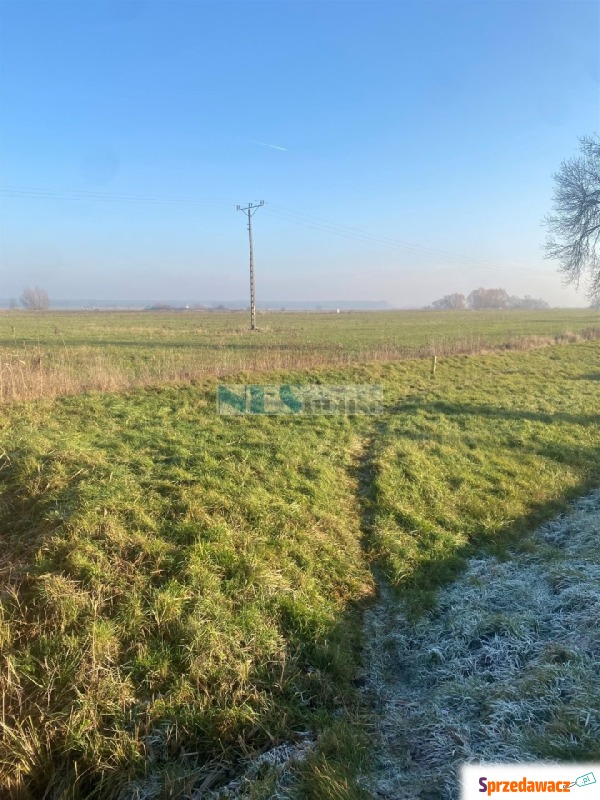 Działka Groblice sprzedam, pow. 2010 m2  (20.1a), uzbrojona