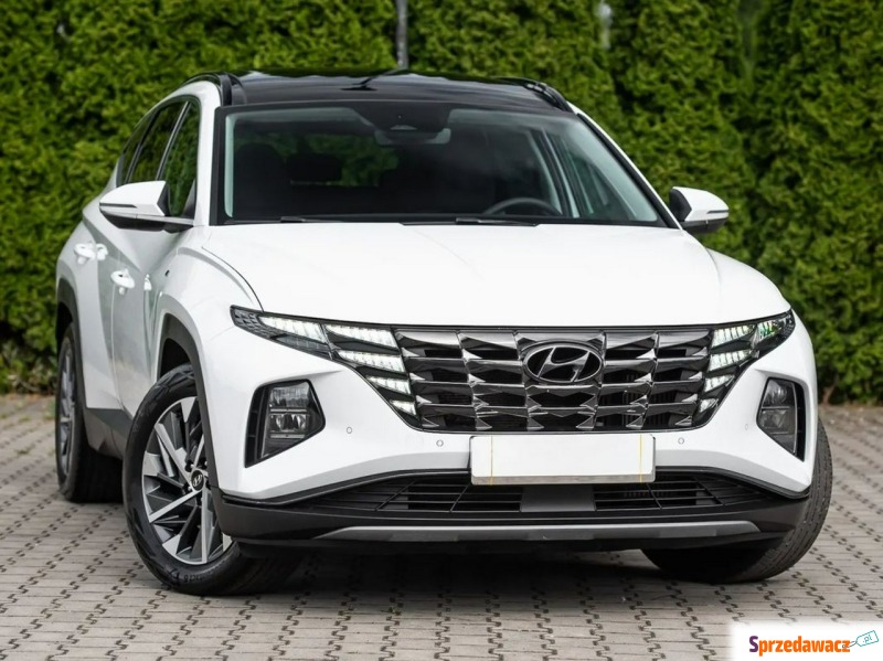Hyundai Tucson  SUV 2023,  1.6 diesel, automat - Na sprzedaż za 89 900 zł - Podzagajnik