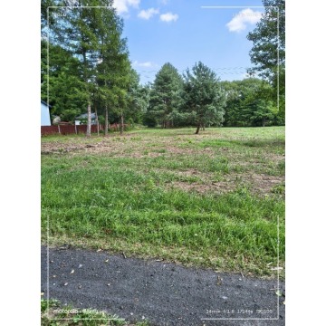Działka budowlana Antoniew sprzedam, pow. 3200 m2  (32a) - zdjęcie 2