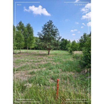 Działka budowlana Antoniew sprzedam, pow. 3200 m2  (32a) - zdjęcie 5