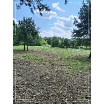 Działka budowlana Antoniew sprzedam, pow. 3200 m2  (32a) - zdjęcie 4