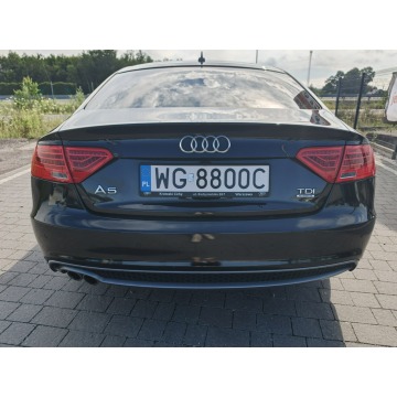 Audi A5  Sedan/Limuzyna 2014,  196.8 diesel, automat - Na sprzedaż za 55 800 zł - Lipówki - zdjęcie 12
