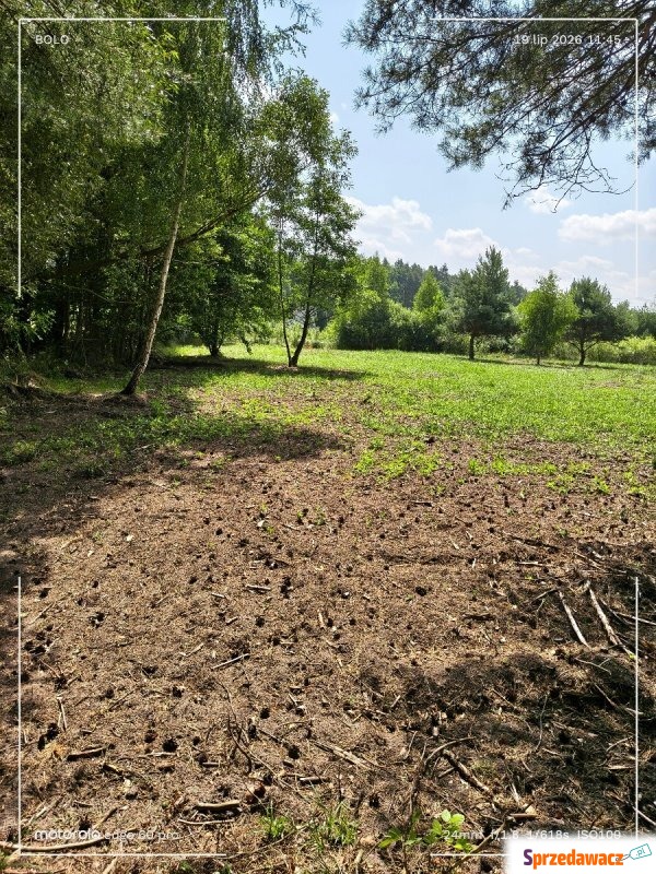Działka budowlana Antoniew sprzedam, pow. 3200 m2  (32a)