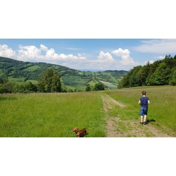 Działka rolno-budowlana na sprzedaż, 734599.99m², Konradów