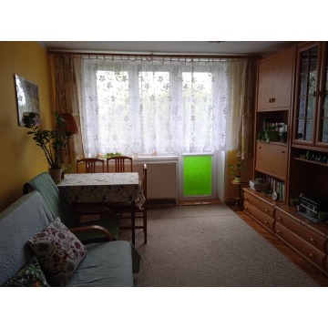Mieszkanie dwupokojowe Toruń,   61 m2 - Sprzedam - zdjęcie 4