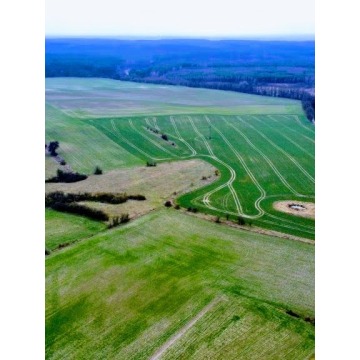 Sprzedam dom Żelichów - ,  pow.  160 m2,  działka:   1900 m2 - zdjęcie 8