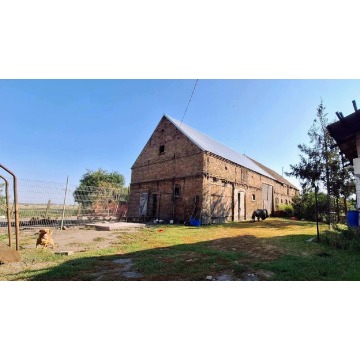 Sprzedam dom Sarbinowo -  bliźniak,  pow.  200 m2,  działka:   1200 m2 - zdjęcie 6