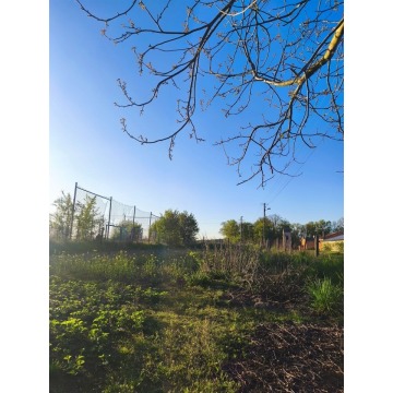 Sprzedam dom Płoszkowo -  jednopiętrowy,  pow.  53 m2,  działka:   350 m2 - zdjęcie 8