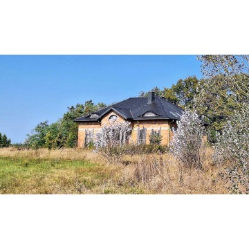 Sprzedam dom Białęgi - ,  pow.  600 m2,  działka:   15 000 m2 - zdjęcie 7