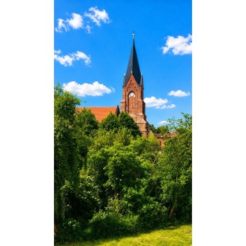 Sprzedam dom Nowe Warpno -  jednopiętrowy,  pow.  108 m2,  działka:   650 m2 - zdjęcie 6