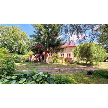 Sprzedam dom Rogowo -  jednopiętrowy,  pow.  220 m2,  działka:   280 000 m2 - zdjęcie 5