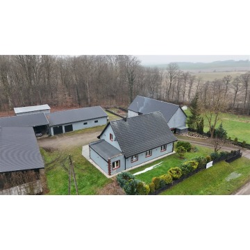 Sprzedam dom Godzisław -  jednopiętrowy,  pow.  100 m2,  działka:   7755 m2 - zdjęcie 5
