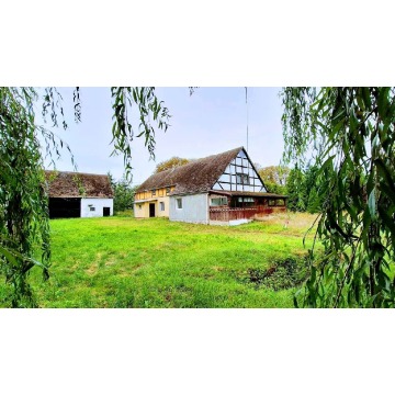 Sprzedam dom Darskowo - ,  pow.  180 m2,  działka:   13 800 m2 - zdjęcie 8