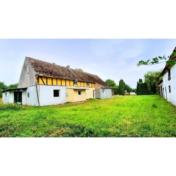 Sprzedam dom Darskowo - ,  pow.  180 m2,  działka:   13 800 m2 - zdjęcie 7